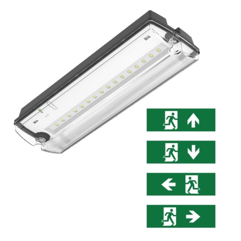 Iluminat de urgență negru, inclusiv pictograme, Pedram, 3W, LED 6500K, IP66 Iluminat de urgență negru, inclusiv pictograme, Pedram, 3W, LED 6500K, IP66