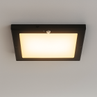 Plafonieră cu senzor neagră din plastic, Luan, 18W, LED 3000K