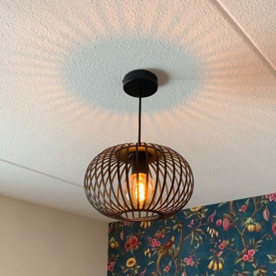 Lustră neagră industrială, Lieve