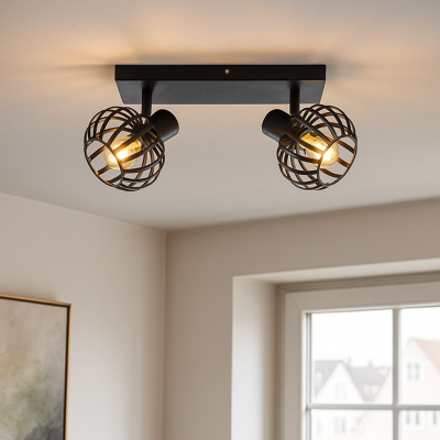 Spot LED de tavan negru industrial, Lieve