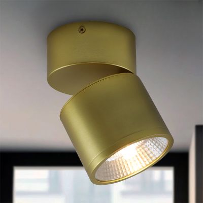 Spot LED de tavan alamă modern, Thomas