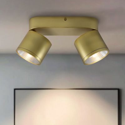 Spot LED de tavan alamă modern, Thomas