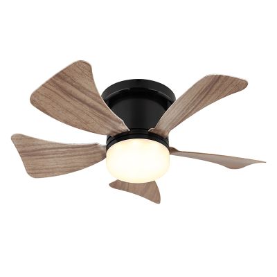 Ventilator de tavan modern maro din plastic, Herwin, 10W, LED reglabil alb cald spre rece, cu telecomandă