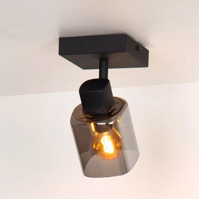 Spot LED de tavan clasic negru, Alion