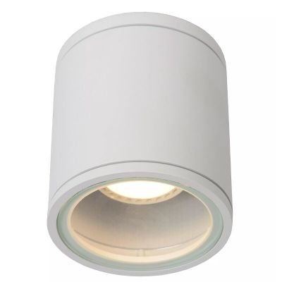 Spot LED de tavan modern alb, Aven, IP65