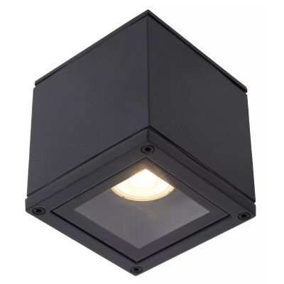 Spot LED de tavan modern negru, Aven, IP65