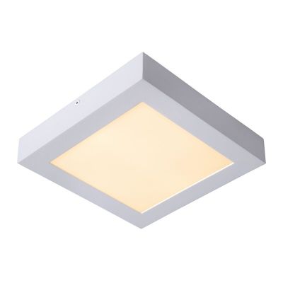 Lampă de tavan modernă albă, Brice, 22W, LED 3000K, IP44