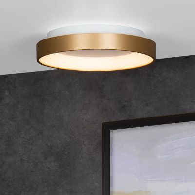 Lampă de tavan modernă aurie, Vidal, 20W, LED 2700K
