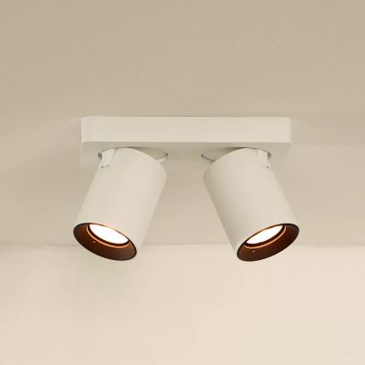 Spot LED de tavan modern alb, Nigel