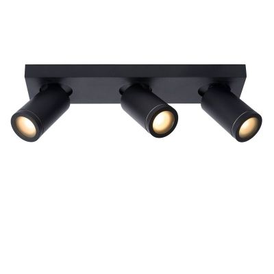 Spot LED de tavan modern negru, Taylor, IP44