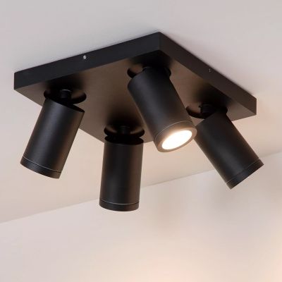 Spot LED de tavan modern negru, Taylor, IP44