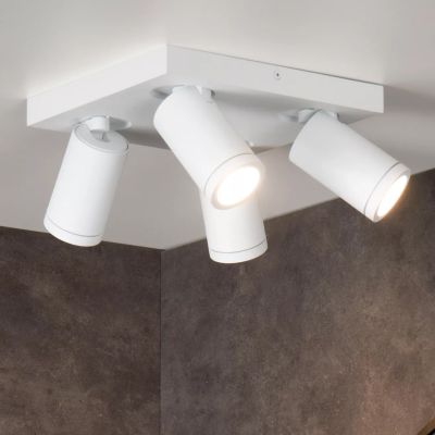 Spot LED de tavan modern alb, Taylor, IP44