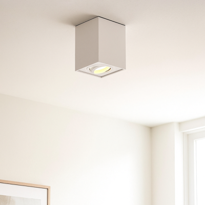 Aplică tavan albă modernă, Dane