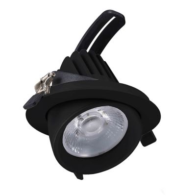 Downlight negru din aluminiu, Shanaya, 30W, LED white switch