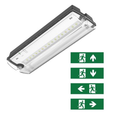 Iluminat de urgență negru, inclusiv pictograme, Pedram, 3W, LED 6500K, IP66