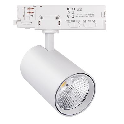 Spot de iluminat pe șină trifazat, alb, Rozina, 10W/20W/30W, LED alb cu întrerupător