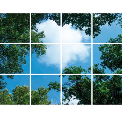 Imprimeu foto nor cu pădure - set de 12 plăci acrilice cu imprimeu, pentru panouri LED de 60x60 cm