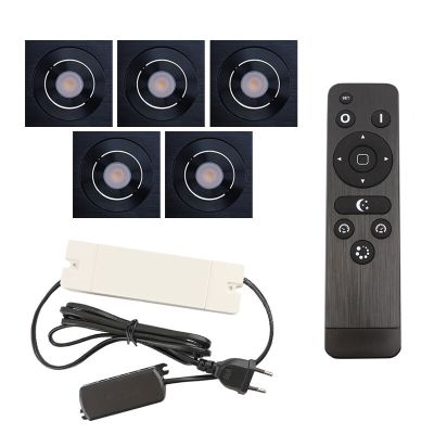 Spot încastrat pentru foișor din aluminiu negru, Rona, 15W, LED 2700K, IP44, con telecomando