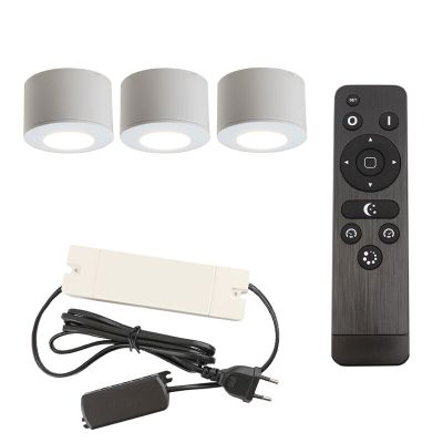 Aplică tavan pentru foișor din aluminiu albă, Vasso, 9W, LED 2700K, IP44, con telecomando