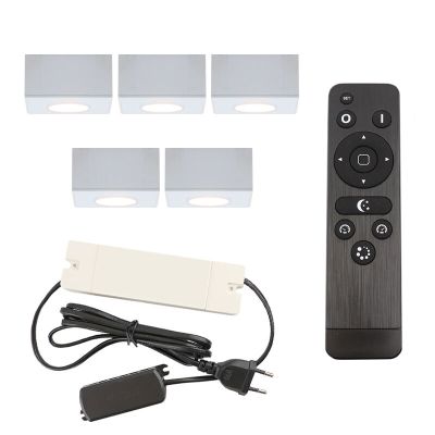 Aplică tavan pentru foișor din aluminiu albă, Fredo, 15W, LED 2700K, IP44, con telecomando