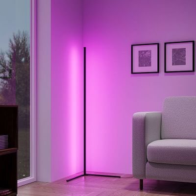 Lampadar modern negru, Erdal, 10W, LED RGB, con telecomando