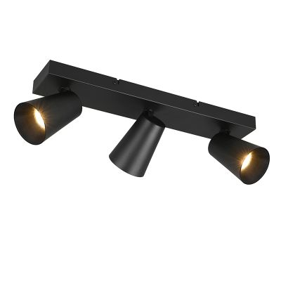 Spot LED de tavan modern negru, Rawien