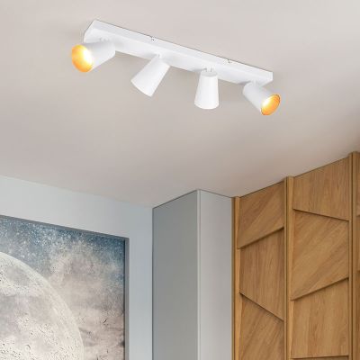 Spot LED de tavan modern alb, Rawien