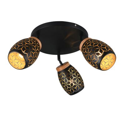 Spot LED de tavan modern negru, Delana