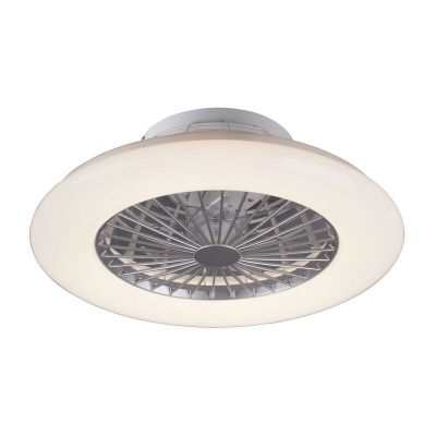Ventilator de tavan modern gri, Damyan, 30W, LED reglabil alb cald-rece, cu telecomandă