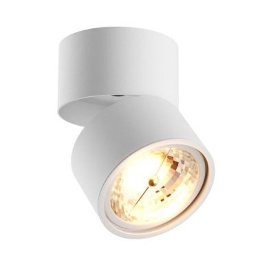 Spot LED de tavan alb modern, Reinout
